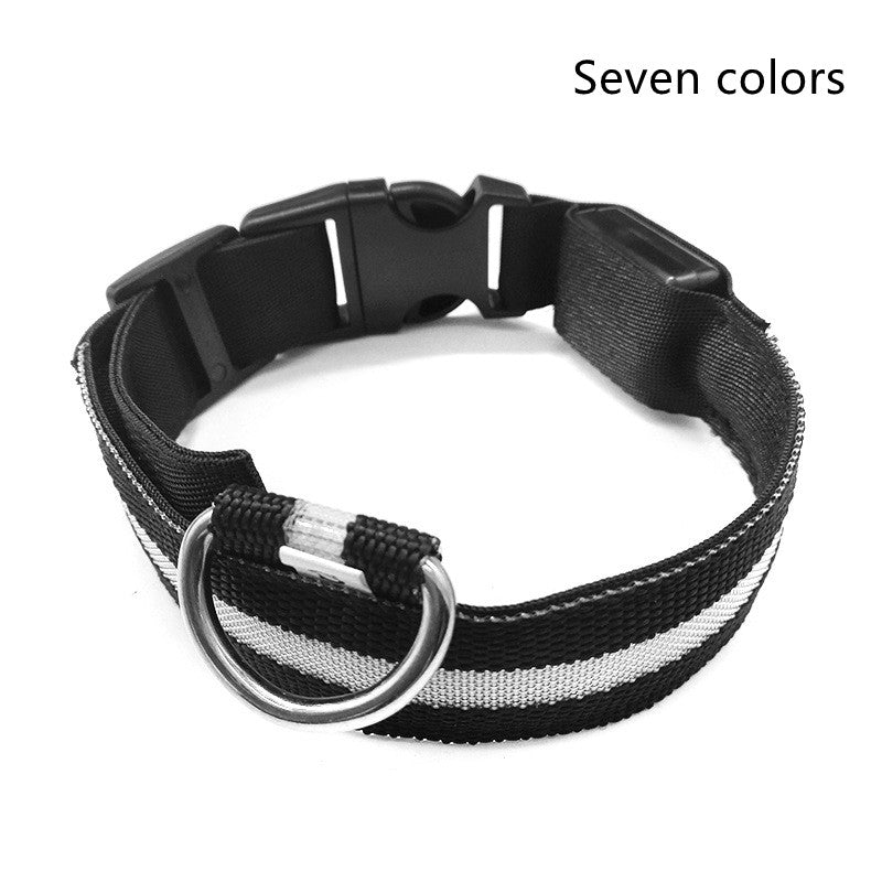 Nylon LED Pet Dog Luminous Collar Night Safety Flashing Glow in Dark Dog Cat Leash Adjustable Pet Supplies by Ricaloux