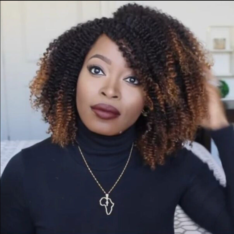 Wig Black Brown African Small Curly Hair Synthetic Wigs – Premium 0 | RICALOUX