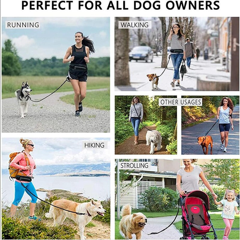 Hands Free Dog Leash Pet Walking And Training Belt With Shock Absorbing Bungee Leash For Up To 180lbs Large Dogs Phone Pocket And Water Bottle Holder by Ricaloux