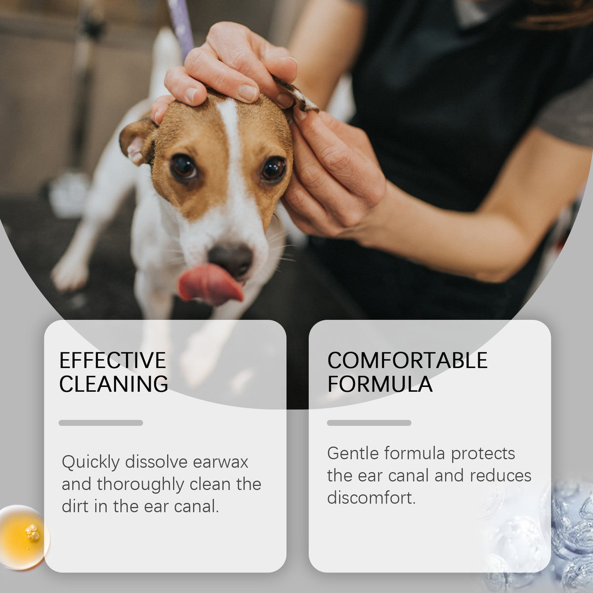 Pet Ear Care Solution For Gentle Cleaning by Ricaloux