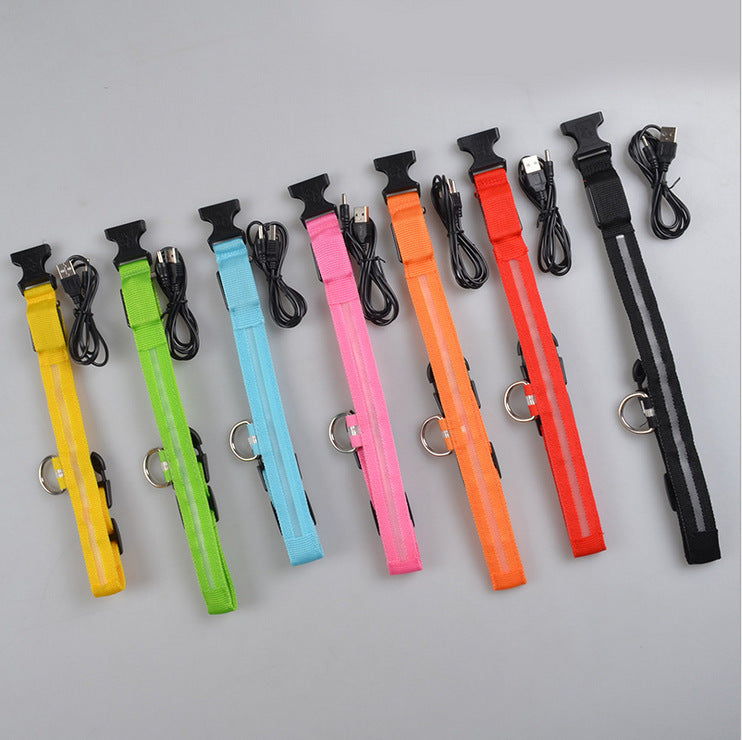 Nylon LED Pet Dog Luminous Collar Night Safety Flashing Glow in Dark Dog Cat Leash Adjustable Pet Supplies by Ricaloux