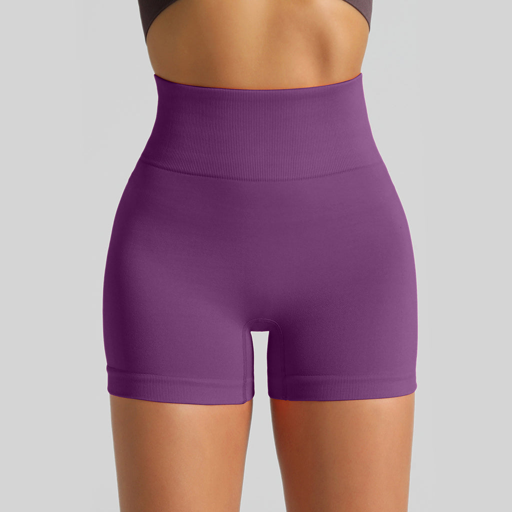 Women's Seamless Knit Yoga Shorts, High Waist Lifting Scrunch Butt Tight Workout Running Sports Shorts by Ricaloux