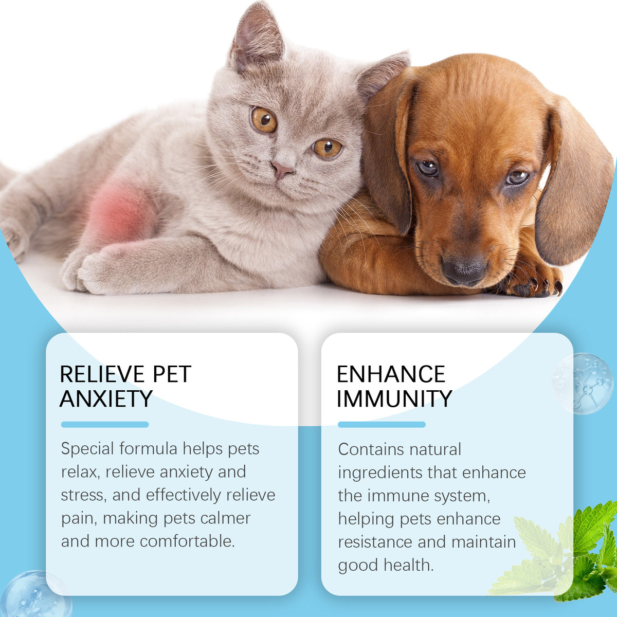 Pet Care Drops Enhance Immunity Dog Nutrition Supplement For Cats by Ricaloux