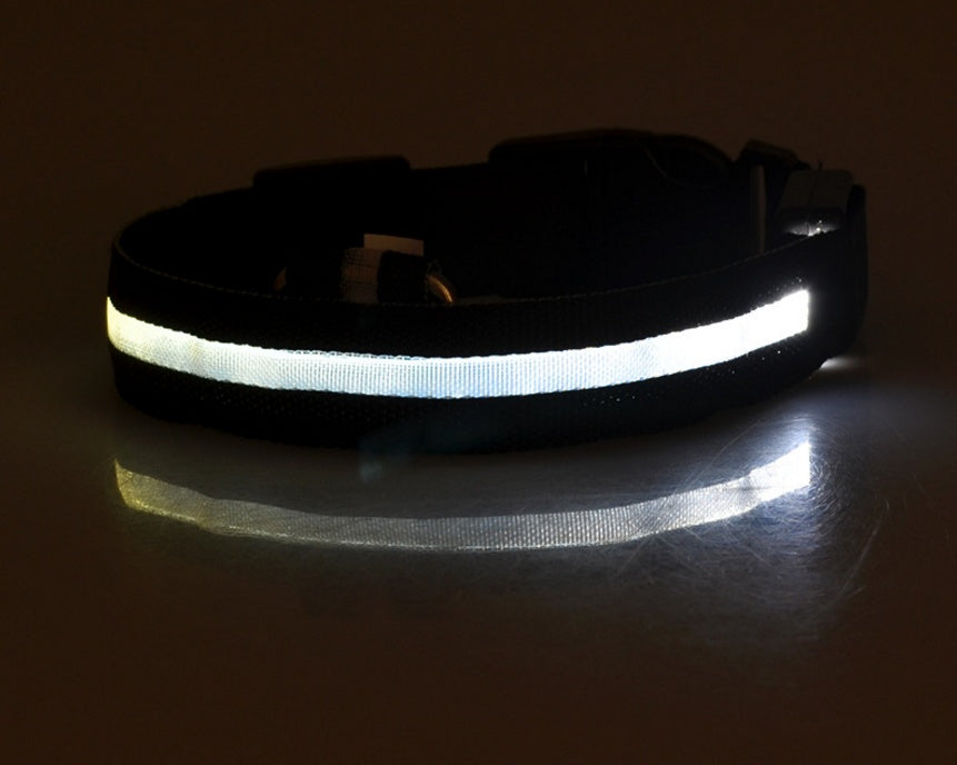 Nylon LED Pet Dog Luminous Collar Night Safety Flashing Glow in Dark Dog Cat Leash Adjustable Pet Supplies by Ricaloux