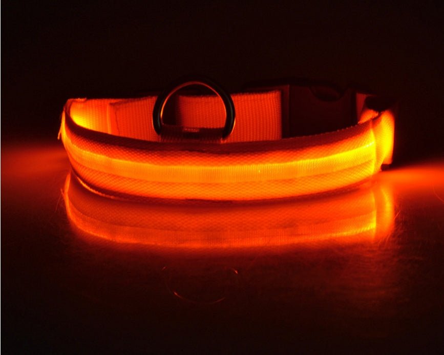Nylon LED Pet Dog Luminous Collar Night Safety Flashing Glow in Dark Dog Cat Leash Adjustable Pet Supplies - RICALOUX