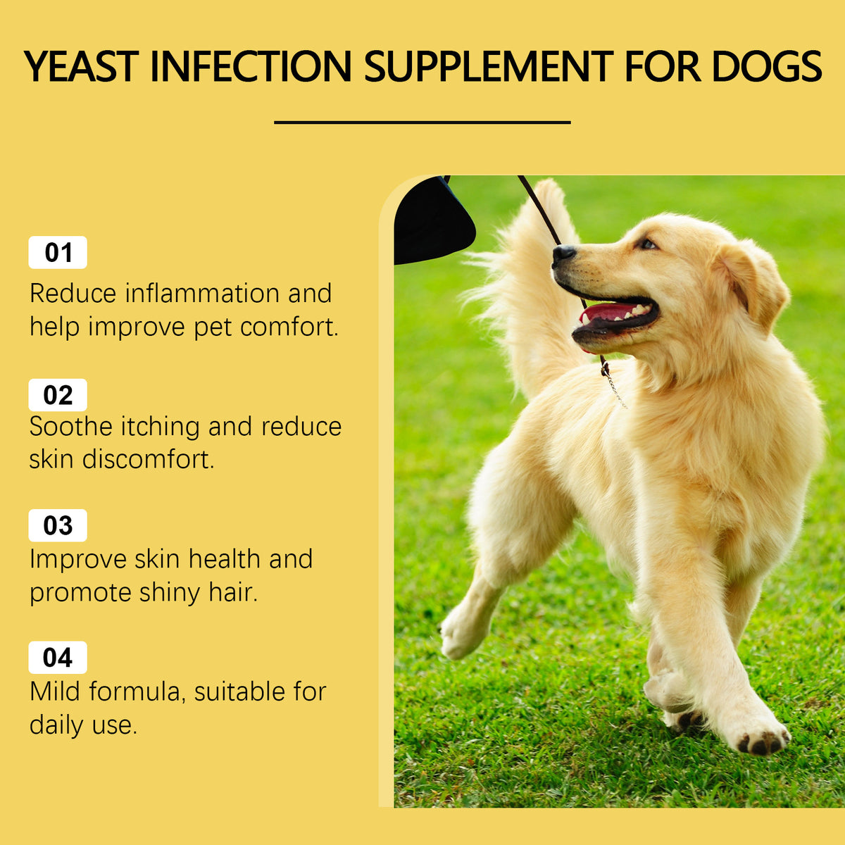 Herbal Yeast Supplement For Relieving Pet External Skin Care by Ricaloux