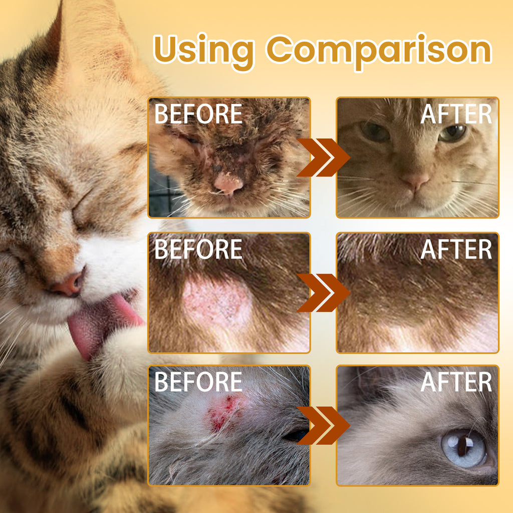 Pet Skin Fur And Wound Care Essence For Cleaning And Moisturizing by Ricaloux