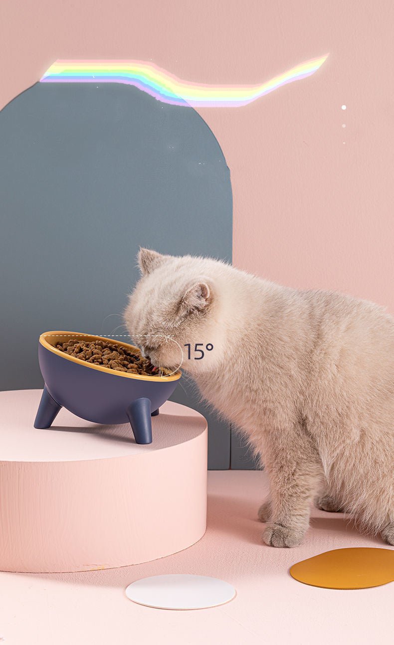 Cat Dog Bowl With Stand Pet Feeding Food Bowls Dogs Bunny Rabbit Nordic Color Feeder Product Supplies Pet Accessories - RICALOUX