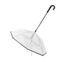 Dog's Transparent Umbrella With Traction Chain Removable Umbrella Pet Products by Ricaloux