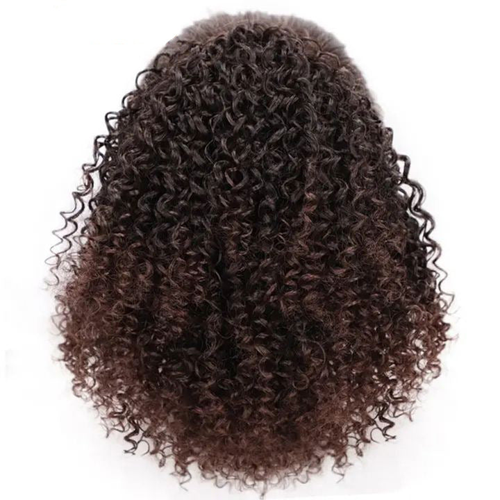 European And American Wigs For Ladies With Small Curly Hair by Ricaloux