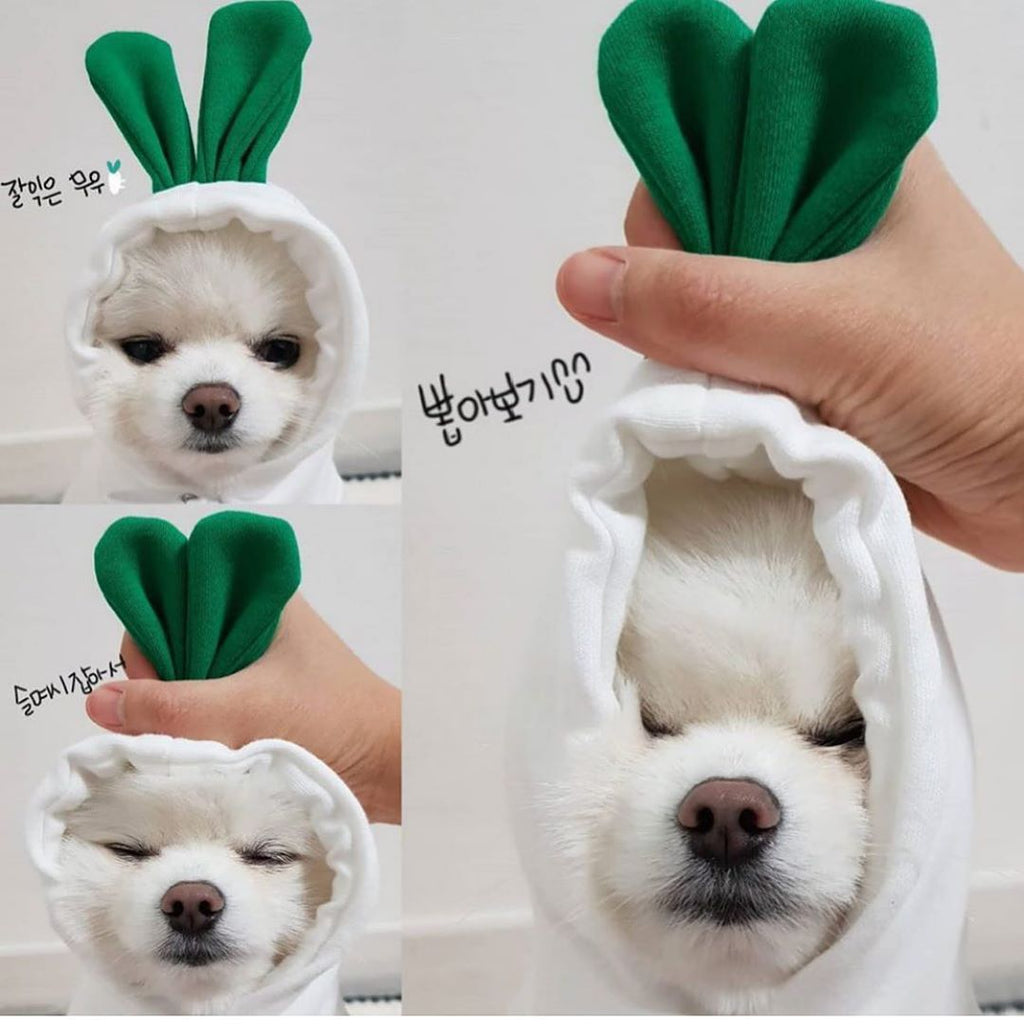 Cute Fruit Dog Clothes For Small Dogs Hoodies Winter Warm Fleece Pet Clothing Puppy Cat Costume Coat For French Chihuahua Outfit - RICALOUX