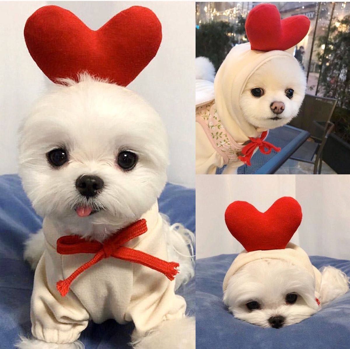 Cute Fruit Dog Clothes For Small Dogs Hoodies Winter Warm Fleece Pet Clothing Puppy Cat Costume Coat For French Chihuahua Outfit - RICALOUX