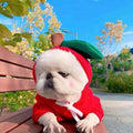 Cute Fruit Dog Clothes For Small Dogs Hoodies Winter Warm Fleece Pet Clothing Puppy Cat Costume Coat For French Chihuahua Outfit by Ricaloux