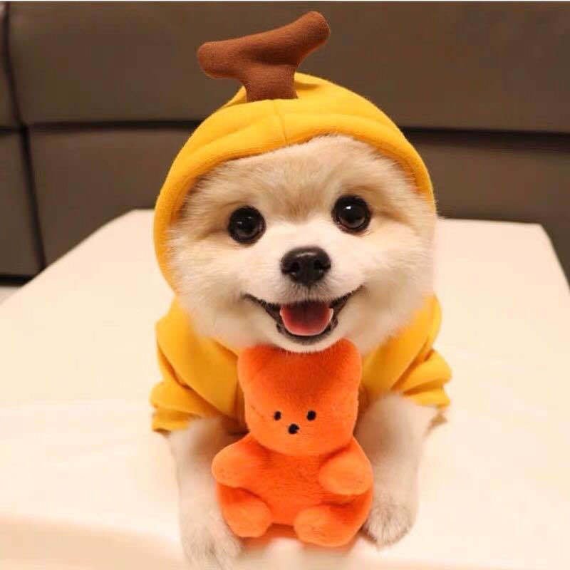 Cute Fruit Dog Clothes For Small Dogs Hoodies Winter Warm Fleece Pet Clothing Puppy Cat Costume Coat For French Chihuahua Outfit - RICALOUX