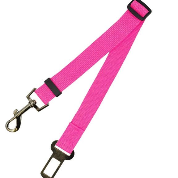 Fixed Strap Polyester Dog Strap Dog Leash Dog Leash - RICALOUX