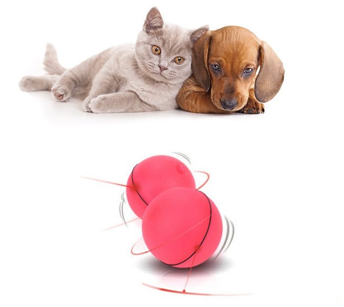 LED Laser Electronic Rolling Pet Funny Cat Toy Ball - RICALOUX