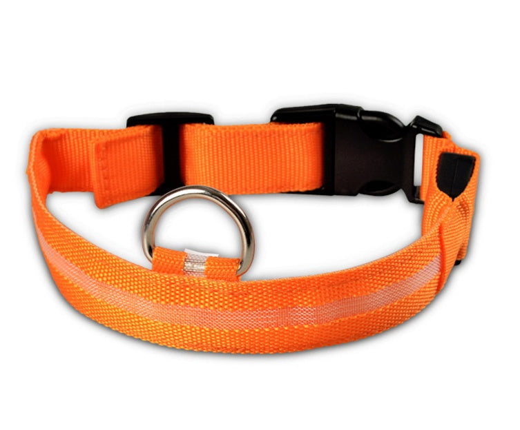 Nylon LED Pet Dog Luminous Collar Night Safety Flashing Glow in Dark Dog Cat Leash Adjustable Pet Supplies by Ricaloux