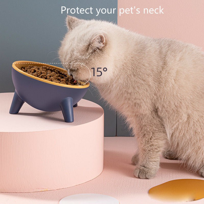 Cat Dog Bowl With Stand Pet Feeding Food Bowls Dogs Bunny Rabbit Nordic Color Feeder Product Supplies Pet Accessories - RICALOUX