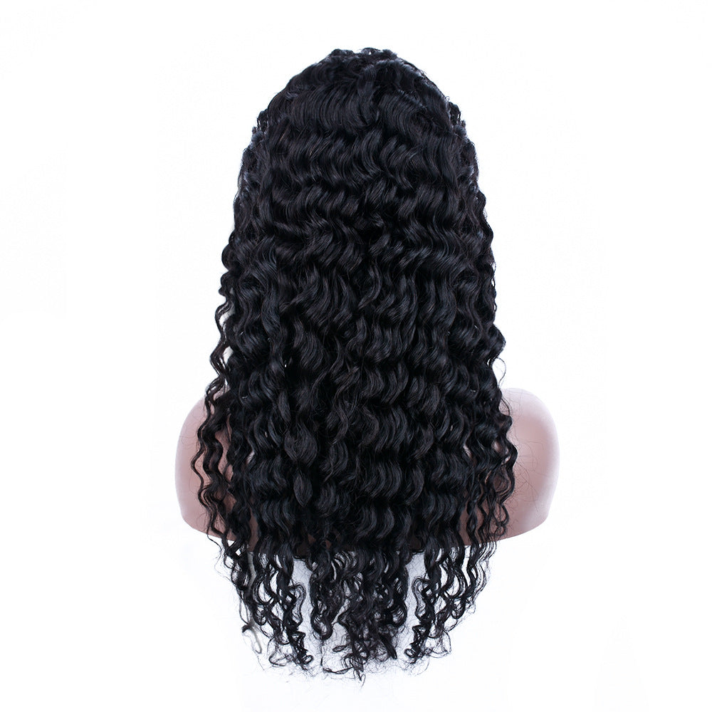 13x4 Lace Front Human Hair Wig – Premium 0 | RICALOUX