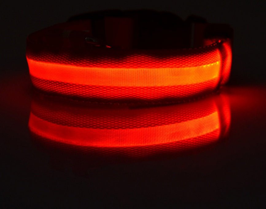 Nylon LED Pet Dog Luminous Collar Night Safety Flashing Glow in Dark Dog Cat Leash Adjustable Pet Supplies - RICALOUX
