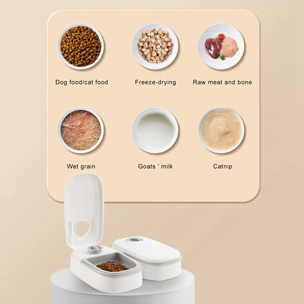Automatic Pet Feeder Smart Food Dispenser For Cats Dogs Timer Stainless Steel Bowl Auto Dog Cat Pet Feeding Pets Supplies by Ricaloux