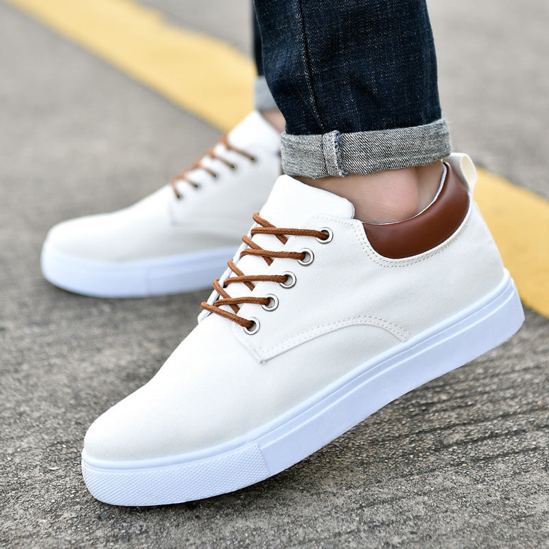 New Canvas Shoes Men Big Shoe 46 47 Man Sneakers Shoes – Premium 0 | RICALOUX