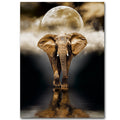 Creative Home Decor Elephant Canvas Painting - RICALOUX