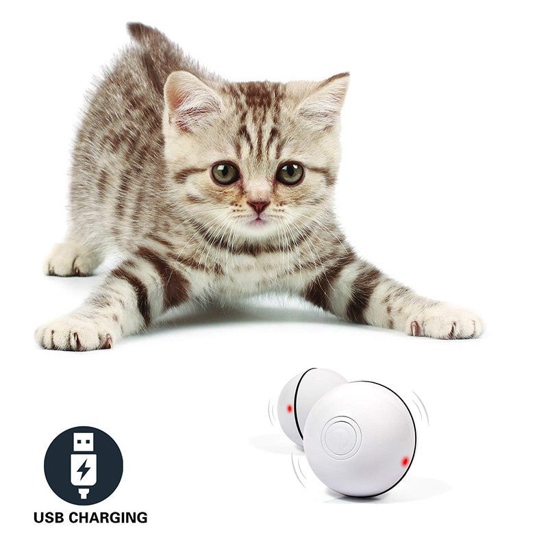 LED Laser Electronic Rolling Pet Funny Cat Toy Ball - RICALOUX