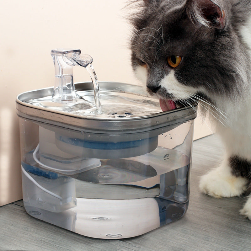 Pet Cat Dog Stainless Steel Automatic Circulation Water Dispenser Intelligent Fountain Pets Accessories by Ricaloux