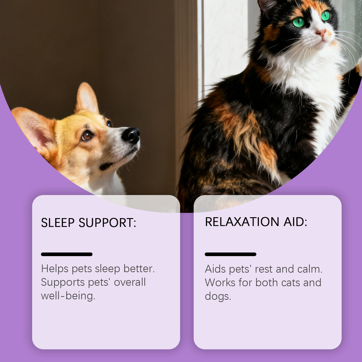 Kriath Pet Cat And Dog Care Drops Gentle, Nourishing, And Soothing Drops For Cats And Dogs, Ideal For Daily Sleep And General Care by Ricaloux