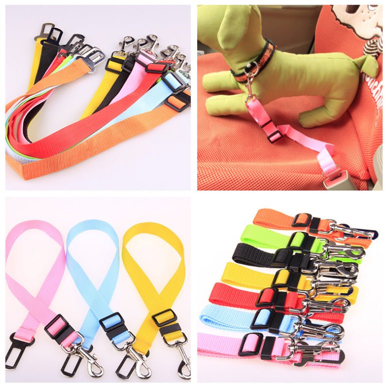 Fixed Strap Polyester Dog Strap Dog Leash Dog Leash - RICALOUX