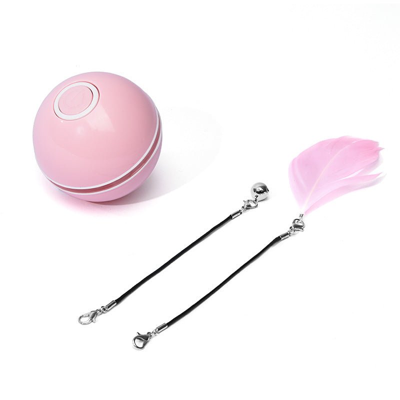 LED Laser Electronic Rolling Pet Funny Cat Toy Ball - RICALOUX