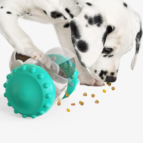 Cat And Dog Toys Slow Food Interactive Balance Car Multifunctional Fun Development Smart Pet Feeding Dog Toy Car Pets Products - RICALOUX