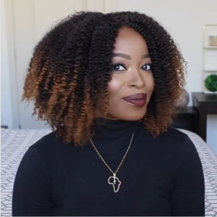 Wig Black Brown African Small Curly Hair Synthetic Wigs – Premium 0 | RICALOUX