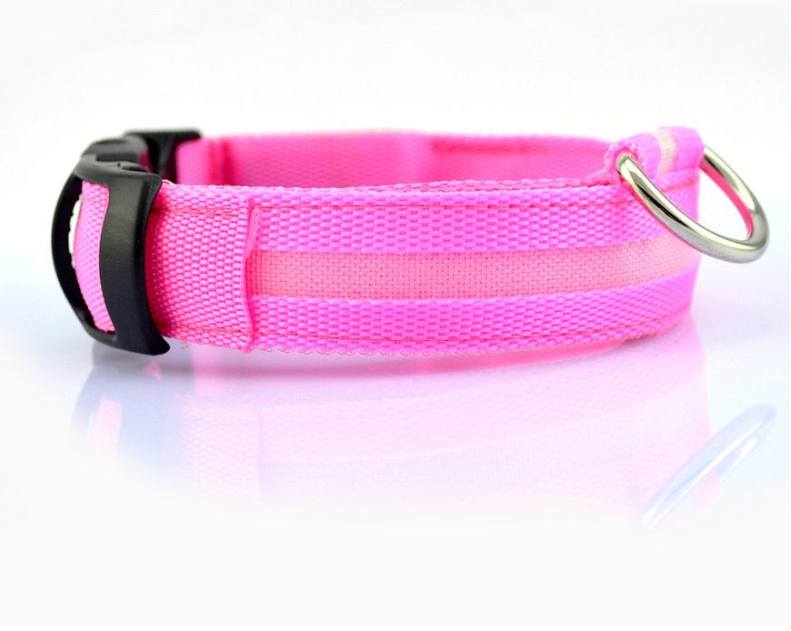 Nylon LED Pet Dog Luminous Collar Night Safety Flashing Glow in Dark Dog Cat Leash Adjustable Pet Supplies by Ricaloux