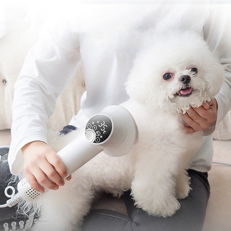 Smart Pet Hair Dryer Dog Golden Retriever Cat Grooming Hairdressing Blow & Comb Silent No Harm Pet Cleaning Supplies Pet Products - RICALOUX