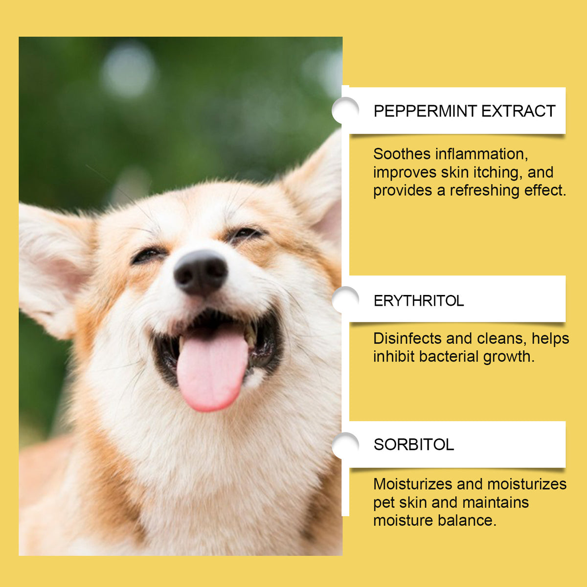 Herbal Yeast Supplement For Relieving Pet External Skin Care by Ricaloux