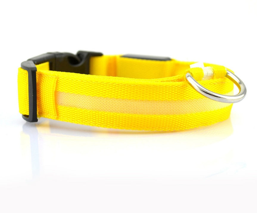 Nylon LED Pet Dog Luminous Collar Night Safety Flashing Glow in Dark Dog Cat Leash Adjustable Pet Supplies by Ricaloux