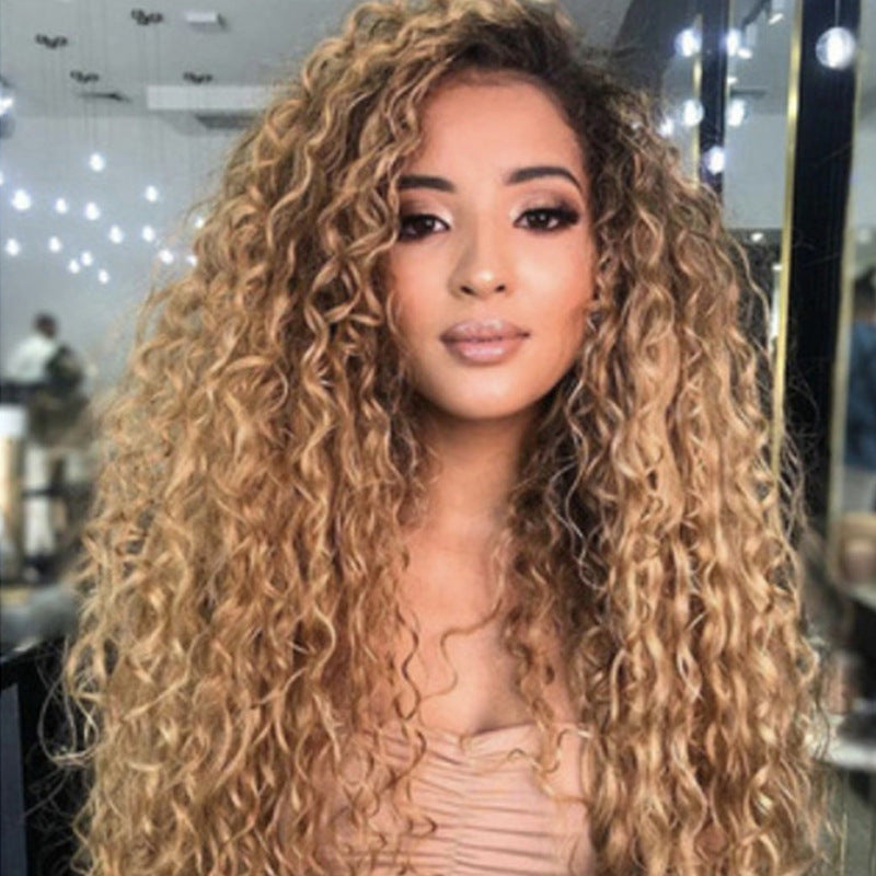 Long Curly African Small Curly Wig Dyed Gradually Brown High Temperature Fiber Wig by Ricaloux