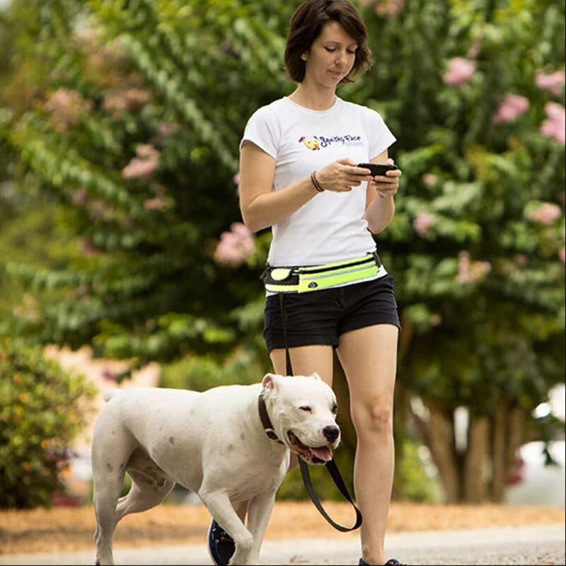 Hands Free Dog Leash Pet Walking And Training Belt With Shock Absorbing Bungee Leash For Up To 180lbs Large Dogs Phone Pocket And Water Bottle Holder by Ricaloux