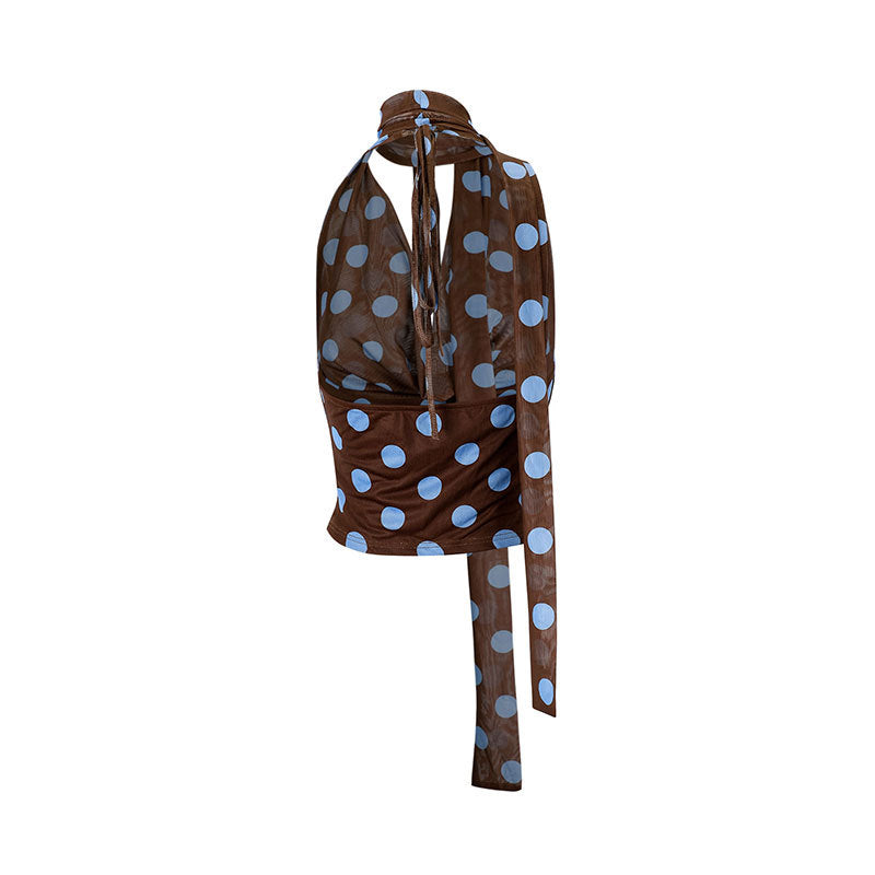 New European And American-style Color-block Polka-dot Asymmetrical Mesh Top – Premium 0 | RICALOUX