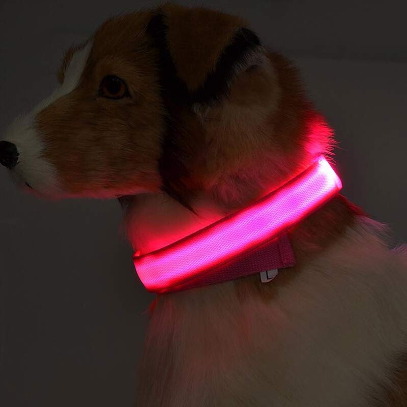 Nylon LED Pet Dog Luminous Collar Night Safety Flashing Glow in Dark Dog Cat Leash Adjustable Pet Supplies by Ricaloux