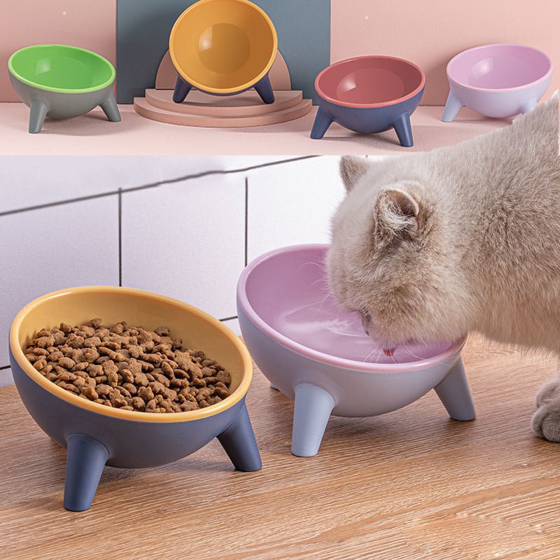 Cat Dog Bowl With Stand Pet Feeding Food Bowls Dogs Bunny Rabbit Nordic Color Feeder Product Supplies Pet Accessories - RICALOUX