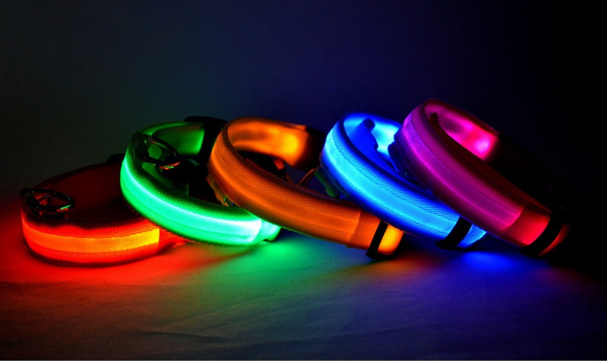 Nylon LED Pet Dog Luminous Collar Night Safety Flashing Glow in Dark Dog Cat Leash Adjustable Pet Supplies by Ricaloux