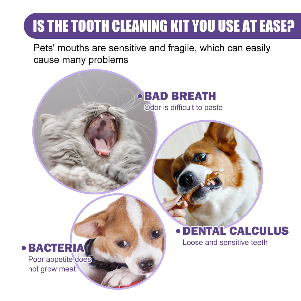Pet Cleaning Gloves Wet Wipes Pet Gum Care Gentle Cleaning Teeth Remove Tartar Odor by Ricaloux