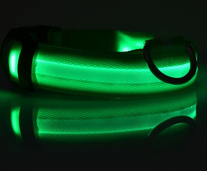 Nylon LED Pet Dog Luminous Collar Night Safety Flashing Glow in Dark Dog Cat Leash Adjustable Pet Supplies - RICALOUX