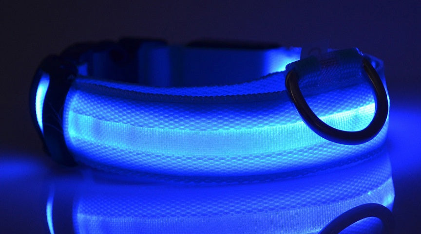 Nylon LED Pet Dog Luminous Collar Night Safety Flashing Glow in Dark Dog Cat Leash Adjustable Pet Supplies by Ricaloux
