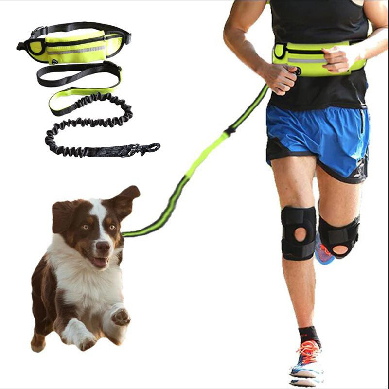 Hands Free Dog Leash Pet Walking And Training Belt With Shock Absorbing Bungee Leash For Up To 180lbs Large Dogs Phone Pocket And Water Bottle Holder by Ricaloux