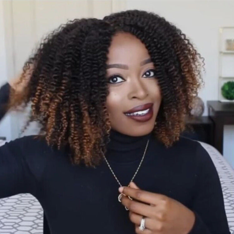 Wig Black Brown African Small Curly Hair Synthetic Wigs – Premium 0 | RICALOUX