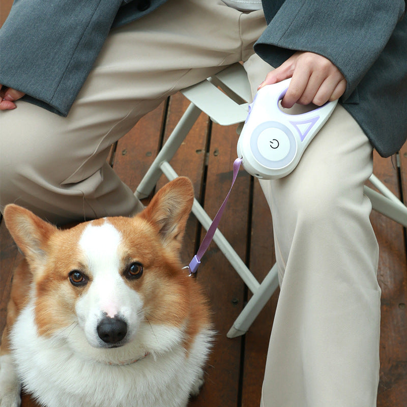 Dog Leash Retractable Leash And Dog Collar Spotlight Automatic Pet Dog Cat Traction Rope For Small Medium Dogs Pet Product by Ricaloux